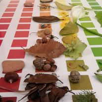 274168500_10159791066701597_31335606667154171_n