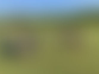 24年5月4(土)のKAMOラグビースクール活動風景