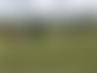 5/13(土)通常練習④ 低学年