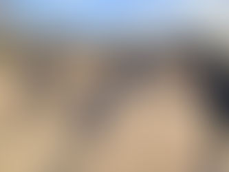 2026年1月31日(土)通常練習