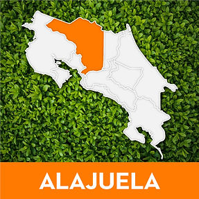 Alajuela.jpg