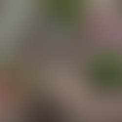 ¡Agregá un toque de color a tu patio!