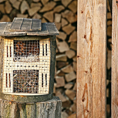¡Hacelo vos mismo! Construí un hotel para insectos