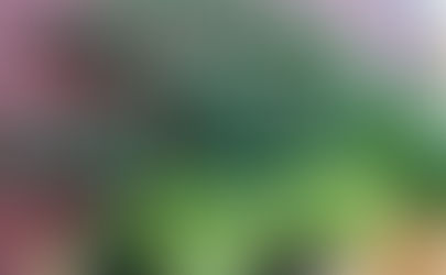 Los 5 alimentos más fáciles de cultivar en tu casa