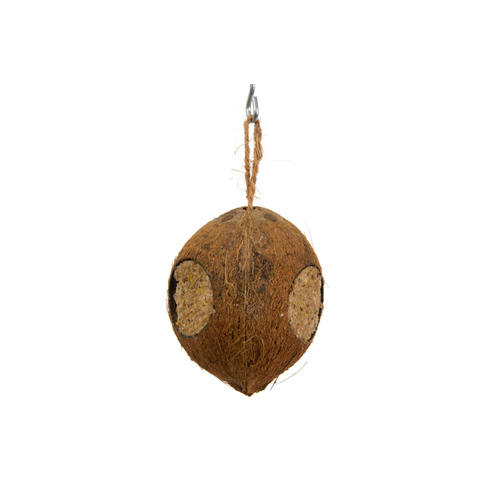 Noix de Coco 3 trous