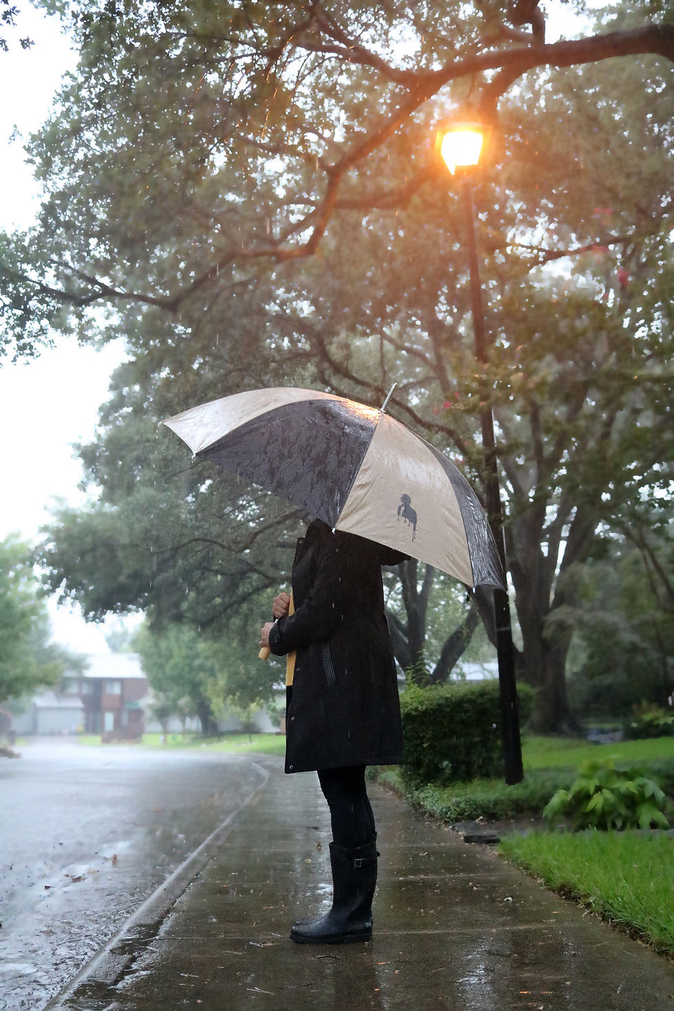 Thumbnail: The Rain Or Sun - 60" Arc Umbrella