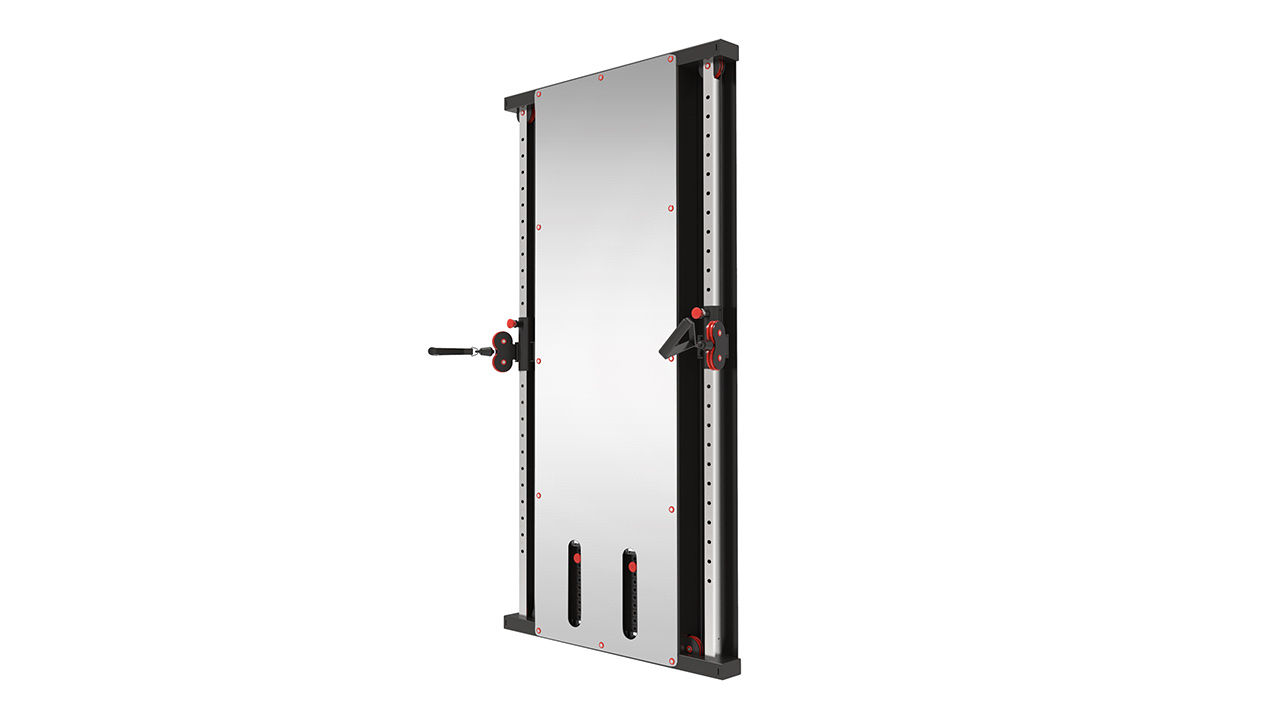 Limitless 08 Dual Wall Mounted Functional Trainer