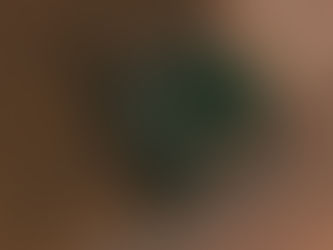 Farm Succession Planning: How to Protect Your Farm for the Next Generation