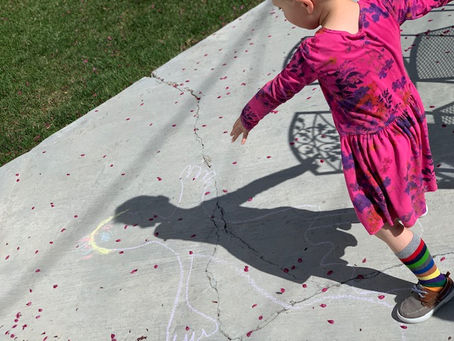 Howie Draws His Shadow!