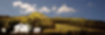 BRAND_001_150DPI.jpg