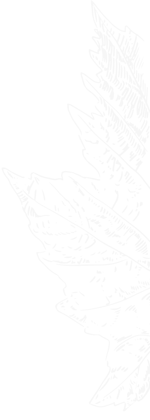 fournier-illustration-cepage-4.png
