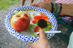 22 Basic Food Groups