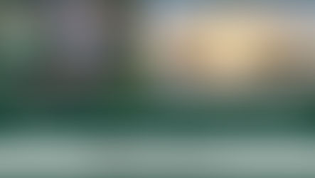 Buscando al Bicknell's Thrush