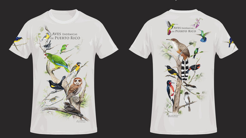 Pre-ordena la nueva t-shirt de las aves endémicas de Puerto Rico