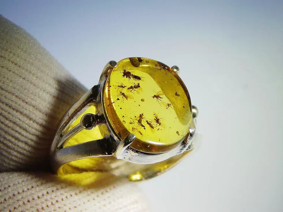 100 million year old swarm of flies in amber set in 925 silver ring