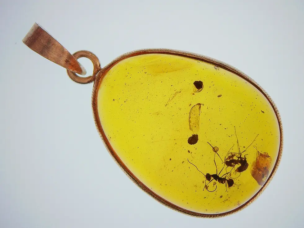 Two large warrior ants in Burmese amber, set in .925 silver pendant.