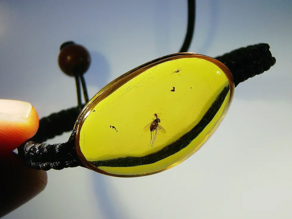 Amber Bracelet with fly 