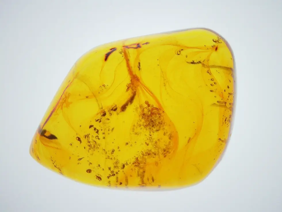 Rainstorm captured in Dominican amber.