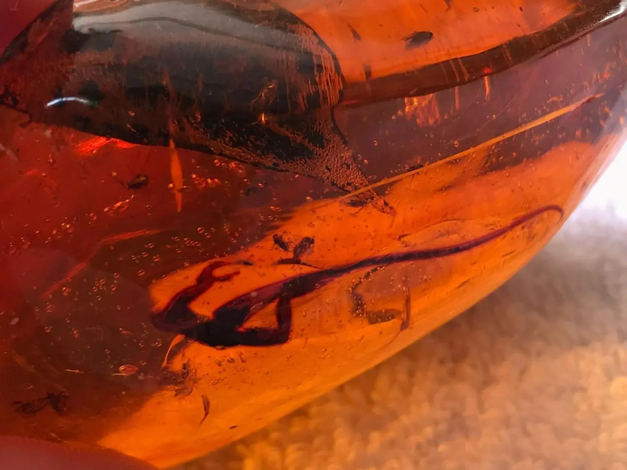 Half leg of some unknown lizard in amber