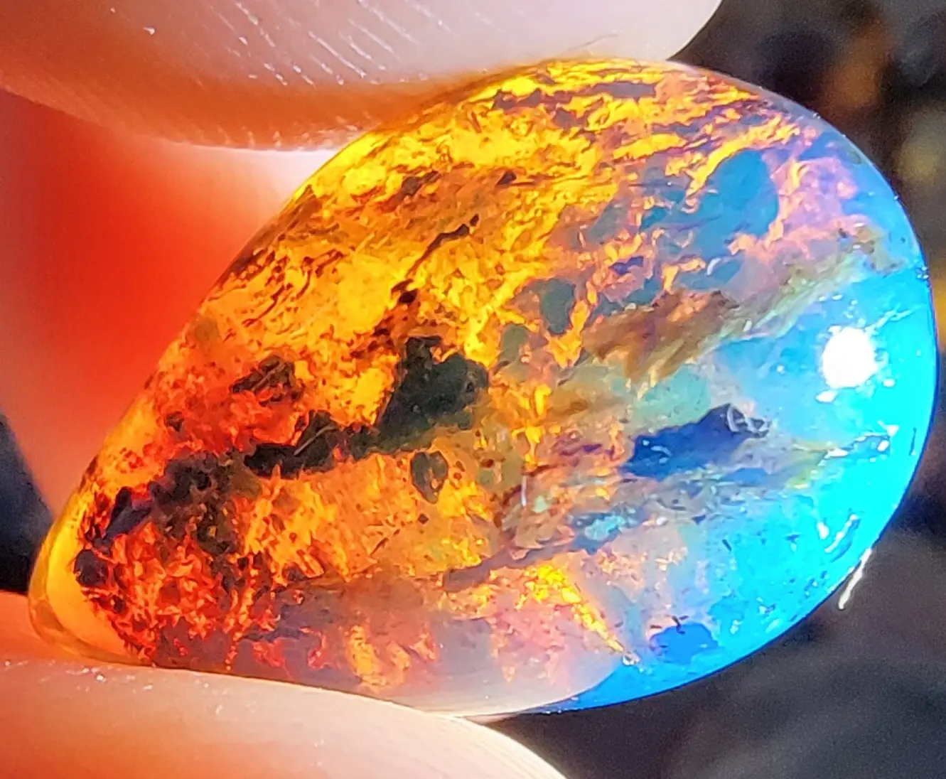 Blue Dominican Amber with red colors