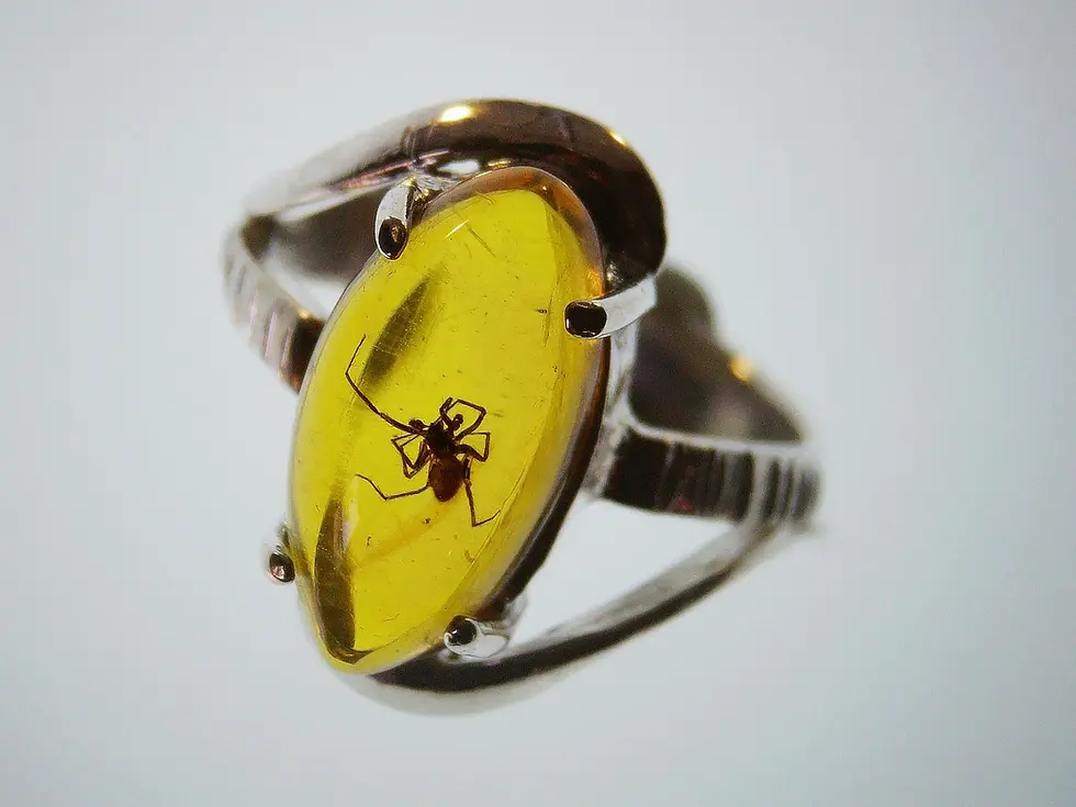 Museum grade spider in amber set in sterling silver ring