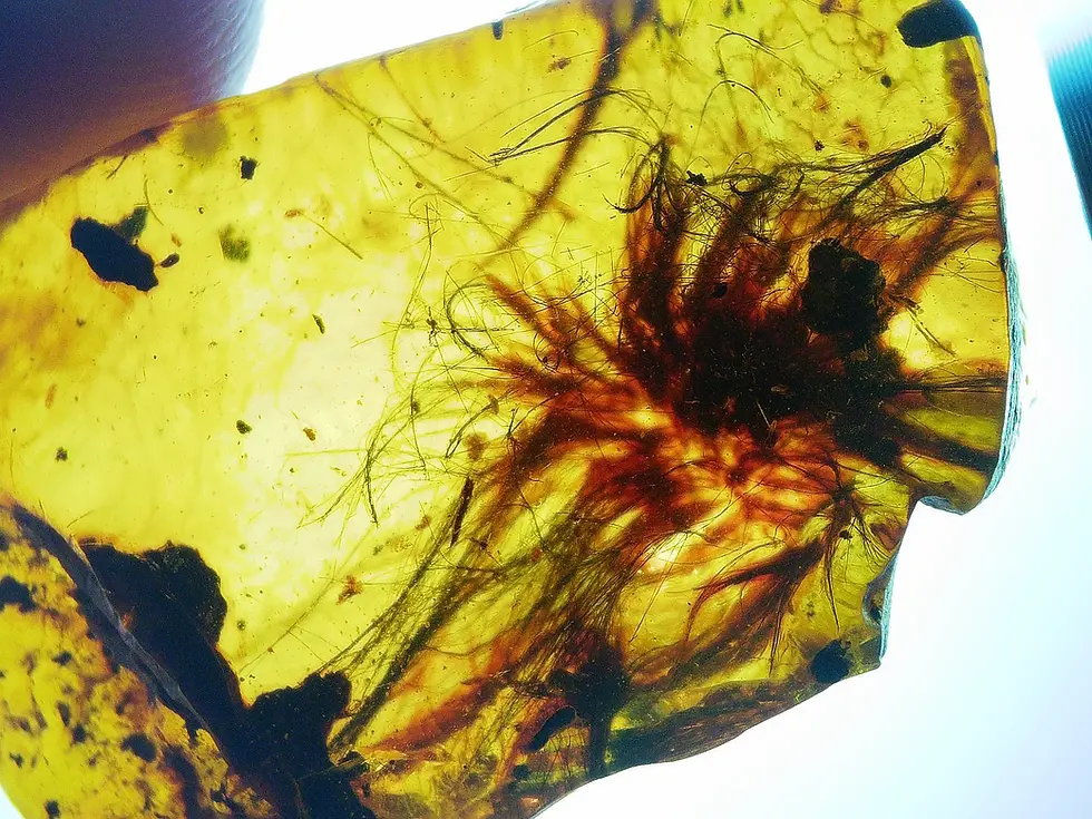 Rare Insect Inclusion like spider in Amber 