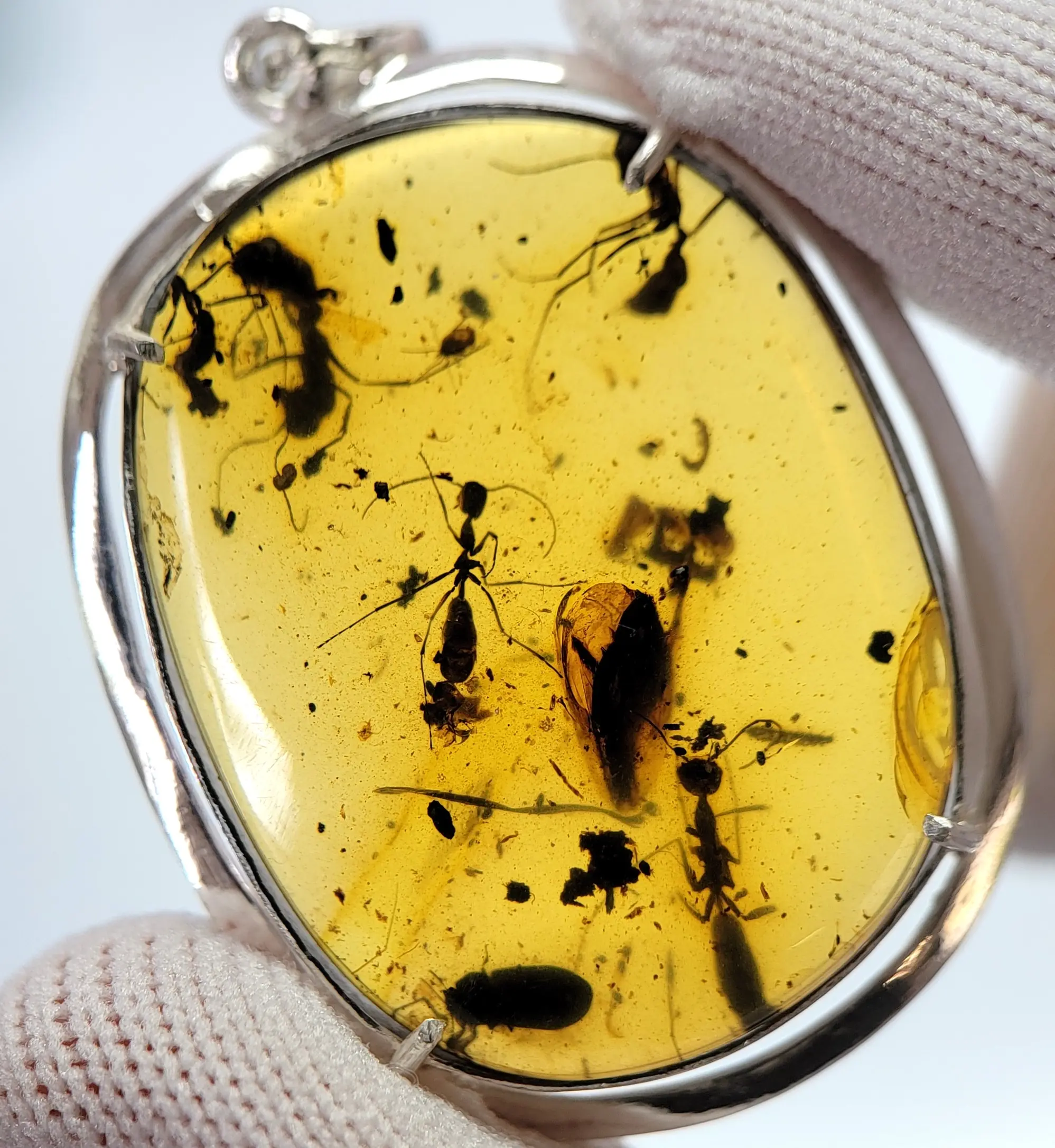 Ant and other bugs in 925 silver Amber Pendant