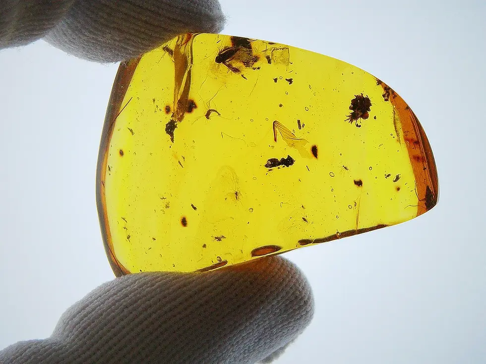 Clear flower in amber slab