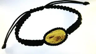 Mating pair of caddisflies in amber.