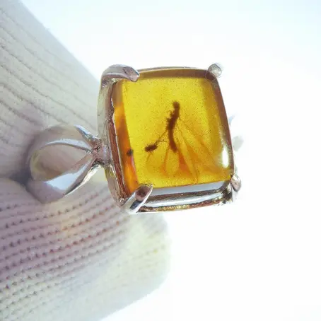 Museum-Grade termite in Burmese amber