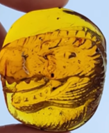 dinosaur figurine from the Enrique Collection 