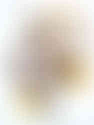 Silver Amber Jewellery