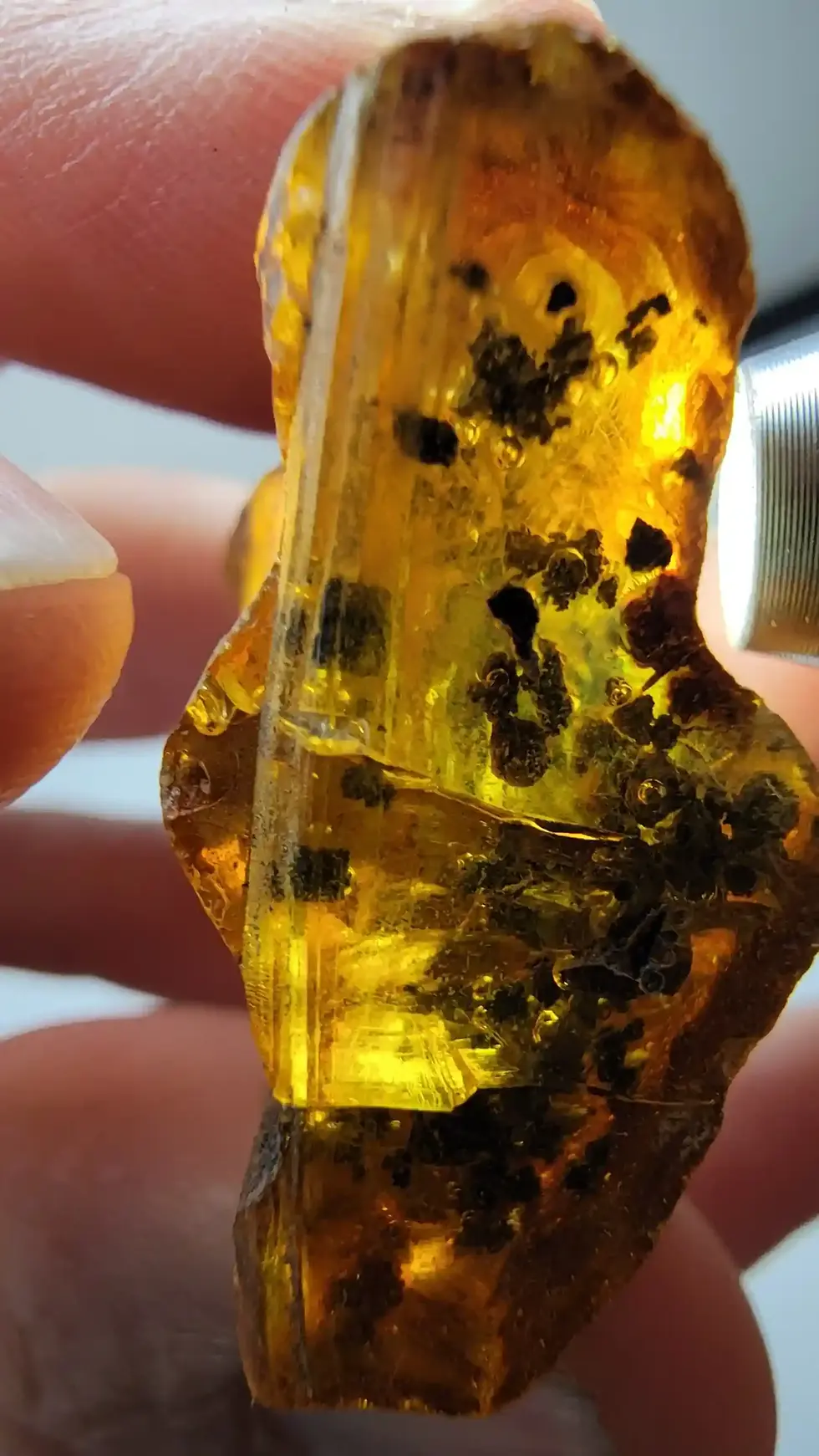 Raw amber with clear unidentified inclusions