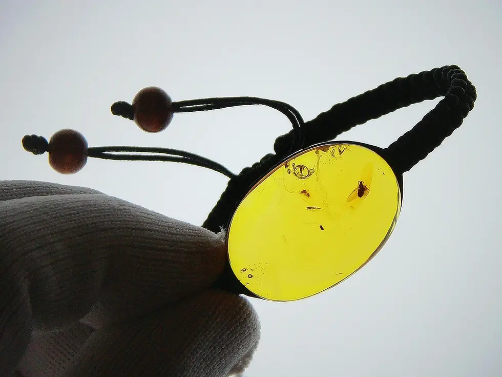 Bracelet with Flying insect in amber
