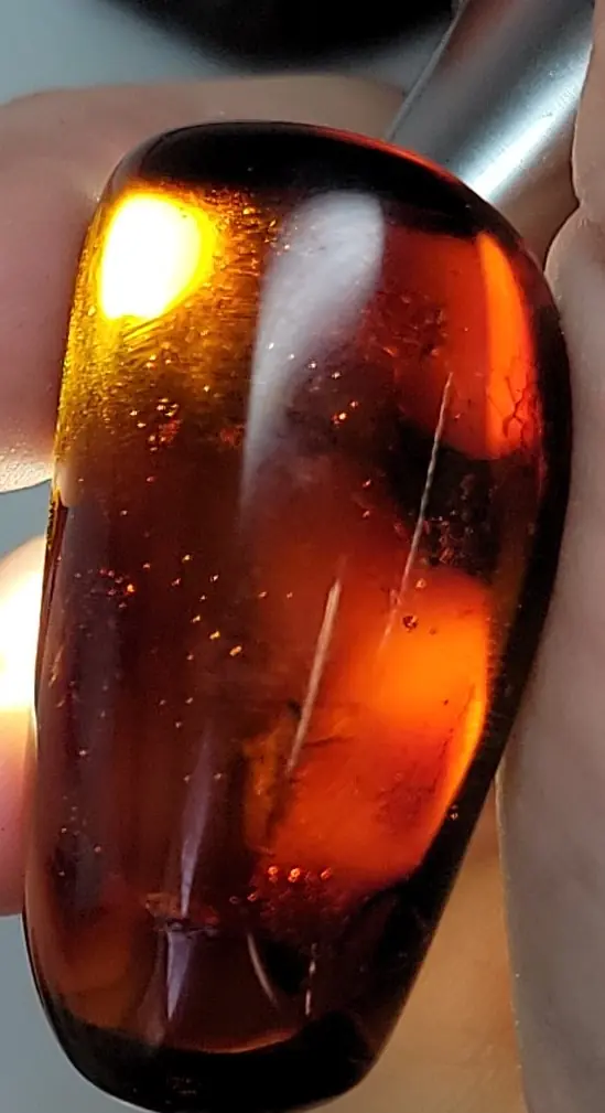 Red Mexican amber with insects backlit