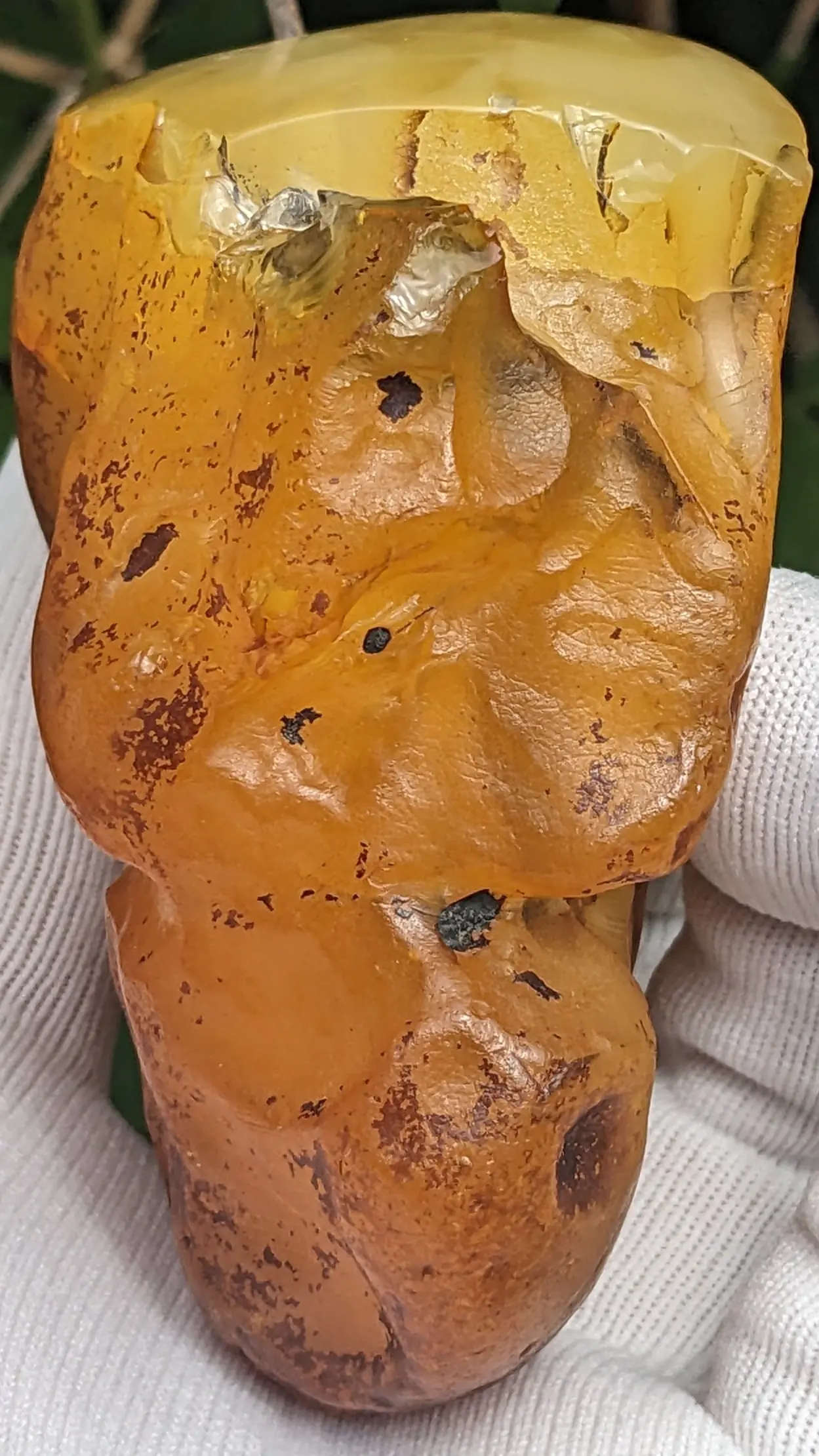 unique shaped Butterscotch Baltic Amber