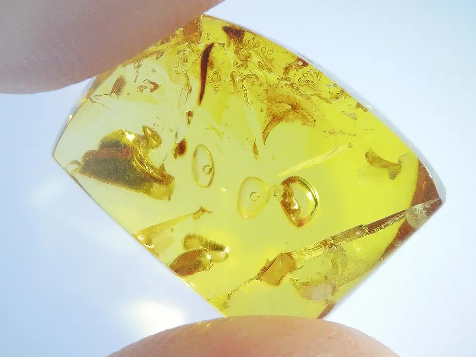 AAA double enhydro in Burmese amber