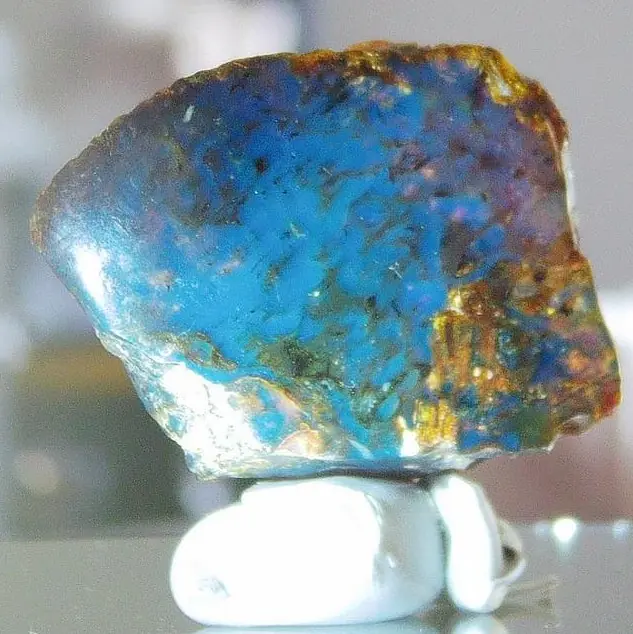 Blue Dominican Amber on display