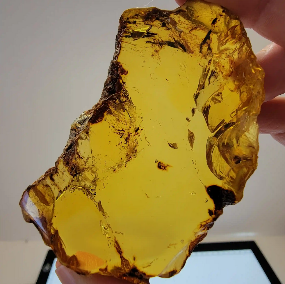 AAA Dominican Amber Slab