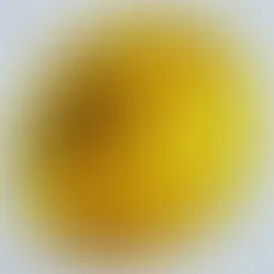 Leaf and Cricket Inclusion in Amber 