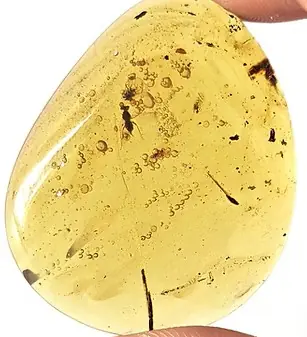Flies in AAA Burmese Amber