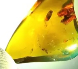 Rare Green Mexican Amber