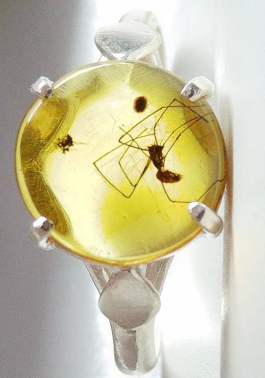 Complete display of spider in Amber Silver Ring