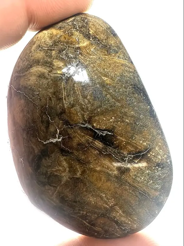 Root Burmese Amber Natural Display