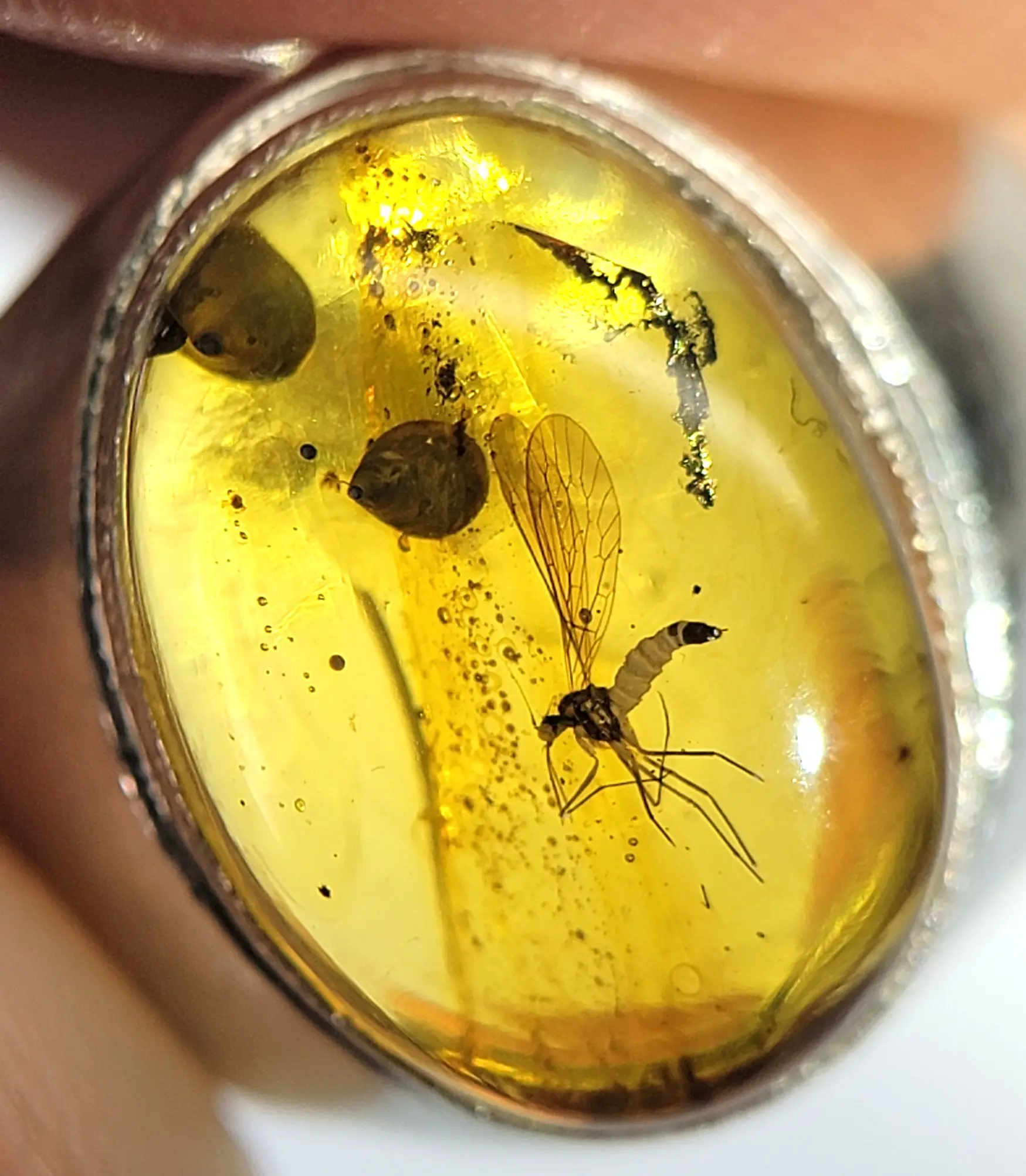 Mosquito inclusion in silver amber ring