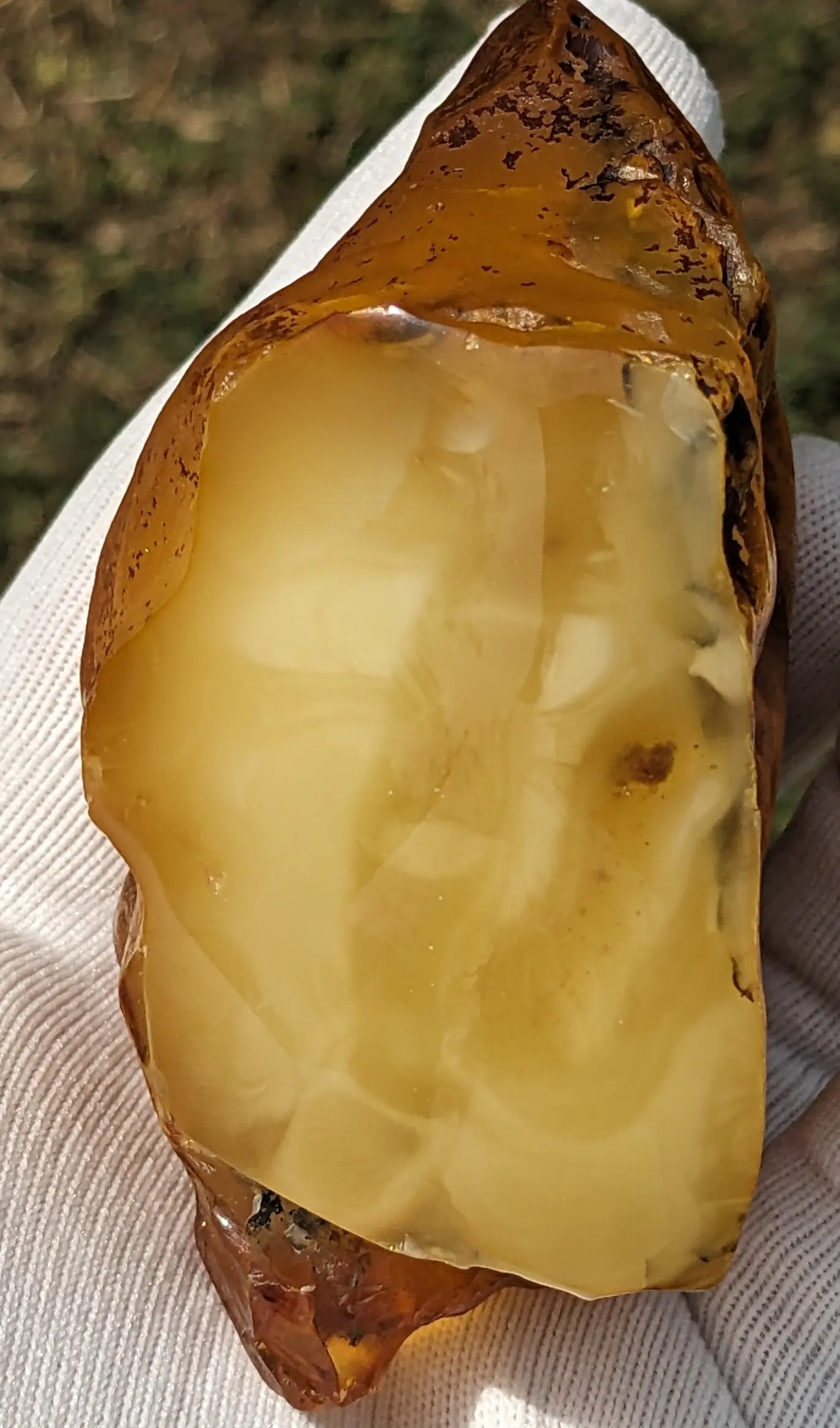 Inner side of AAA Butterscotch Baltic Amber