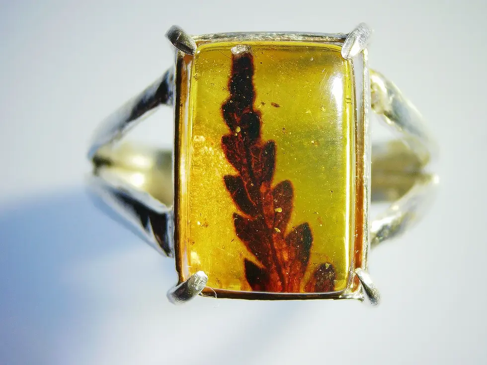 100 million year old fern trapped in amber set in silver