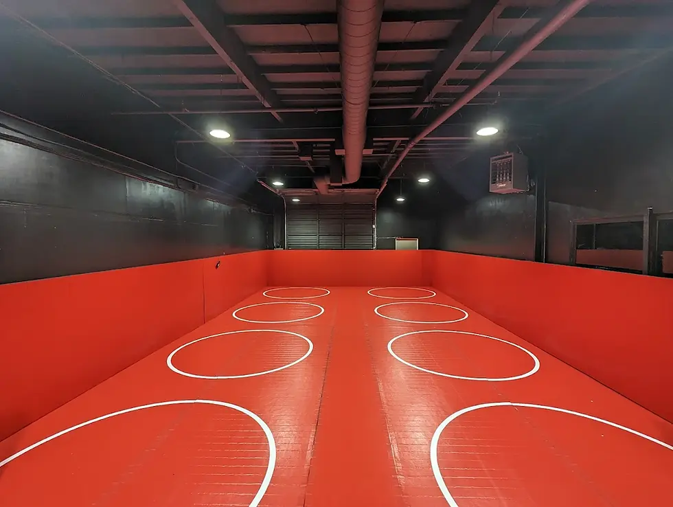 Discipline and Structure in Sports