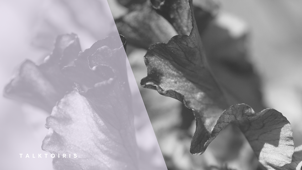 Talktoiris, blog, female, mental health, physical health, iris flower