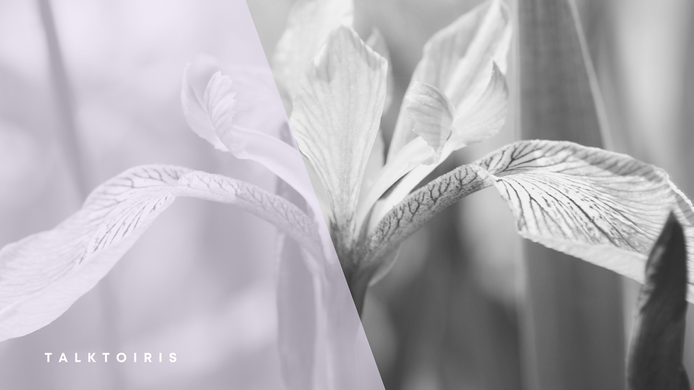 How Vitamins Help to Improve Mental Health.